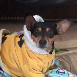 Meet your Posher, Stephanie